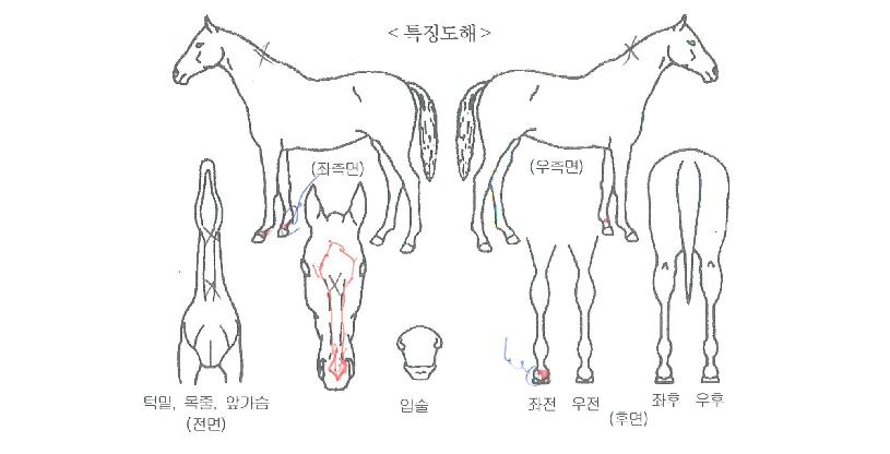 ���÷��� ����,���,�޸�,�λ�,�ٸ��� Ư¡����