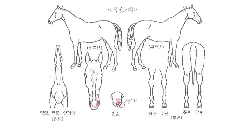 �����ͽ��������ڸ��� ����,���,�޸�,�λ�,�ٸ��� Ư¡����