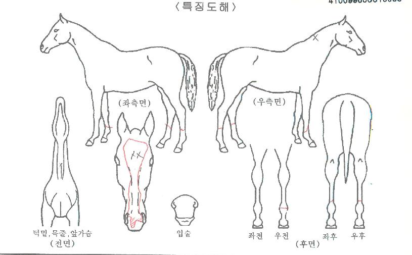 ��Ű����� ����,���,�޸�,�λ�,�ٸ��� Ư¡����