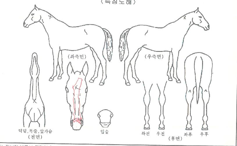 �ƶ󰡾߿ռ��� ����,���,�޸�,�λ�,�ٸ��� Ư¡����