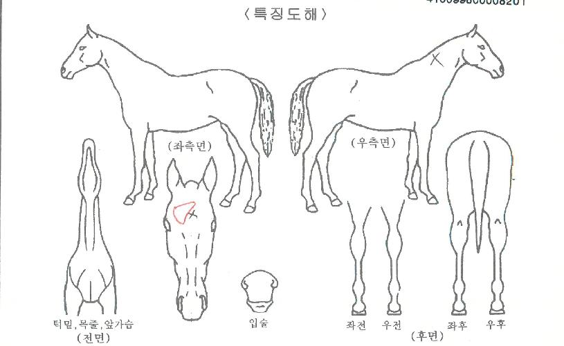 ������ǰ�� ����,���,�޸�,�λ�,�ٸ��� Ư¡����