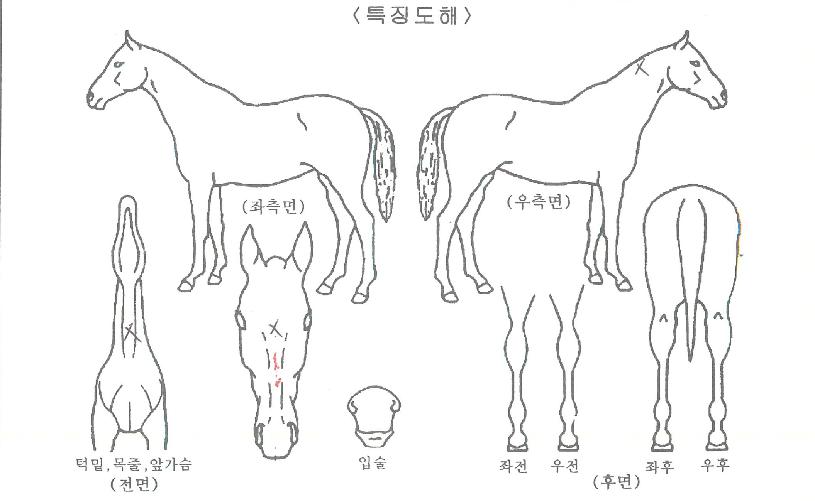 �ε���ũ�� ����,���,�޸�,�λ�,�ٸ��� Ư¡����