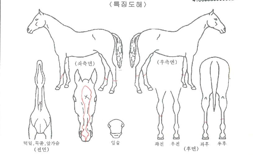 �Ѽ������ ����,���,�޸�,�λ�,�ٸ��� Ư¡����