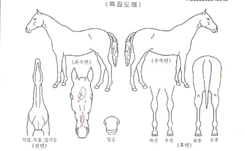 �������� ����,���,�޸�,�λ�,�ٸ��� Ư¡����