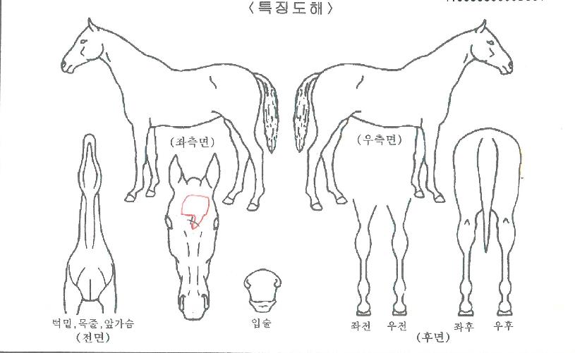 �׷���Ʈĭ�� ����,���,�޸�,�λ�,�ٸ��� Ư¡����