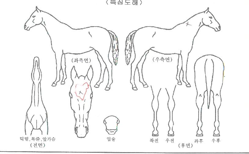 ��ũ�ǽ��� ����,���,�޸�,�λ�,�ٸ��� Ư¡����