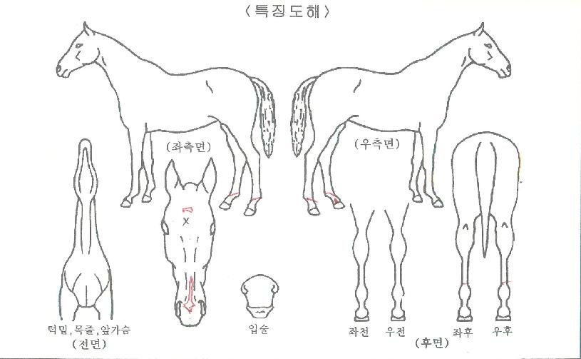 �ݹ����� ����,���,�޸�,�λ�,�ٸ��� Ư¡����