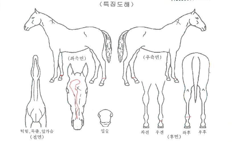 ���丮������ ����,���,�޸�,�λ�,�ٸ��� Ư¡����