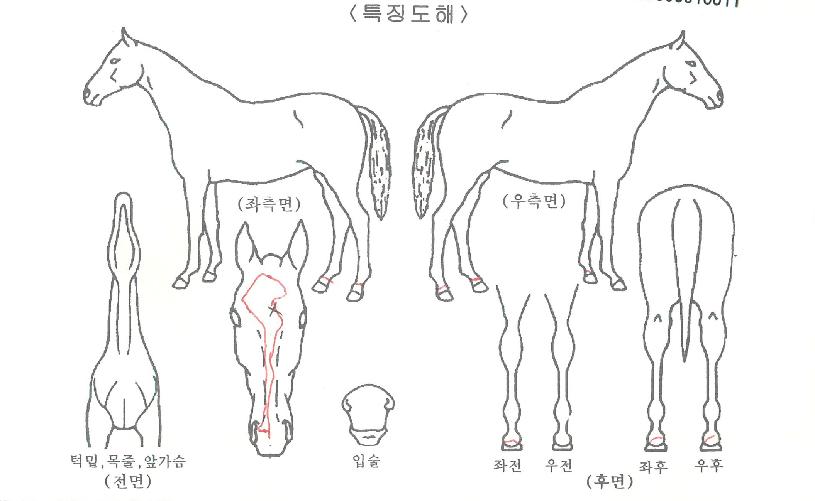 �ʵ���Ű�� ����,���,�޸�,�λ�,�ٸ��� Ư¡����