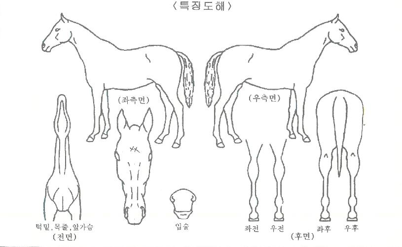 ���������� ����,���,�޸�,�λ�,�ٸ��� Ư¡����