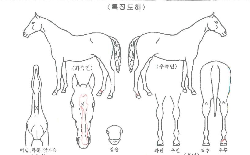 �ǿ��������� ����,���,�޸�,�λ�,�ٸ��� Ư¡����