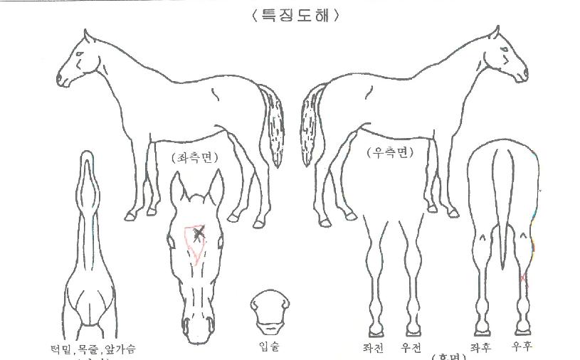 �ǿ������Ķ��� ����,���,�޸�,�λ�,�ٸ��� Ư¡����