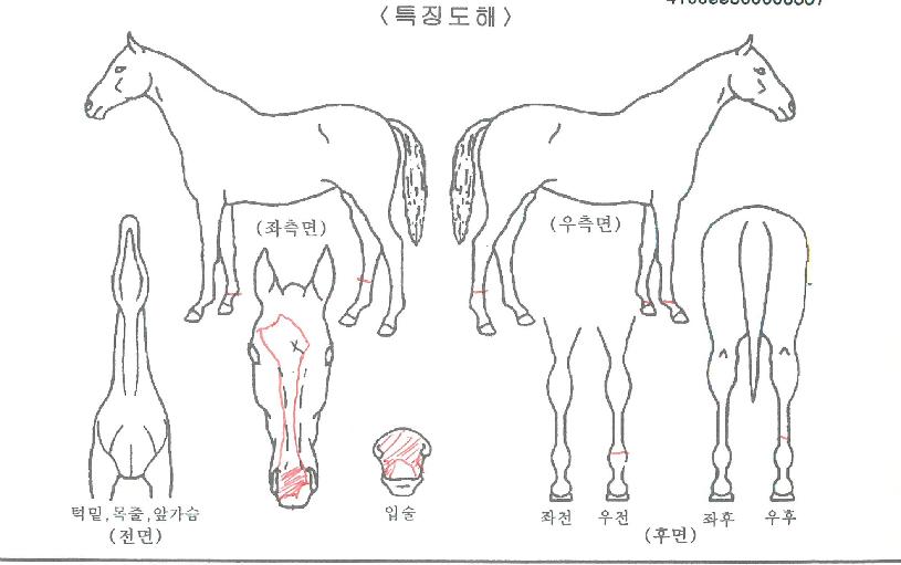 ����������ڸ��� ����,���,�޸�,�λ�,�ٸ��� Ư¡����