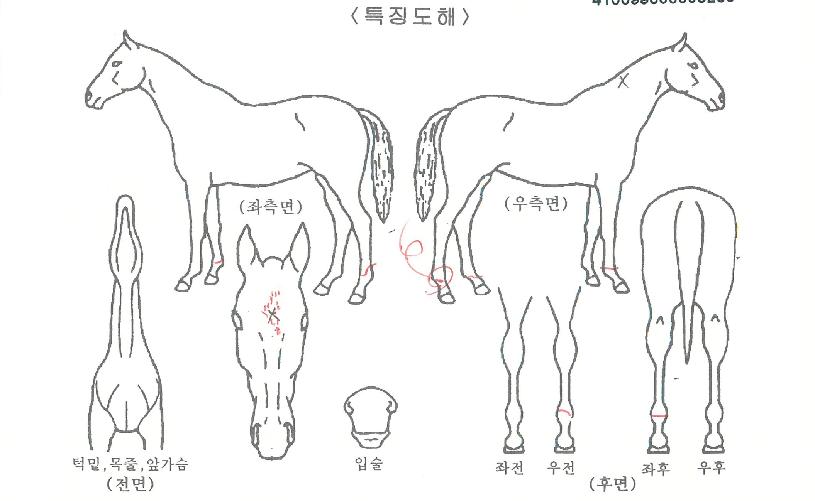 �������� ����,���,�޸�,�λ�,�ٸ��� Ư¡����