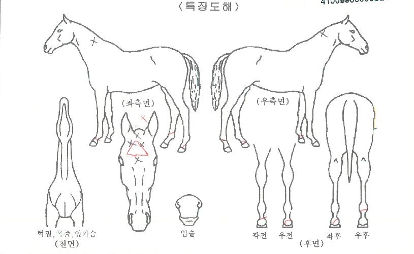 ÈïĸƾÀÇ Ãø¸é,¿ì¸é,µÞ¸é,µÎ»ó,´Ù¸®ÀÇ Æ¯Â¡µµÇØ