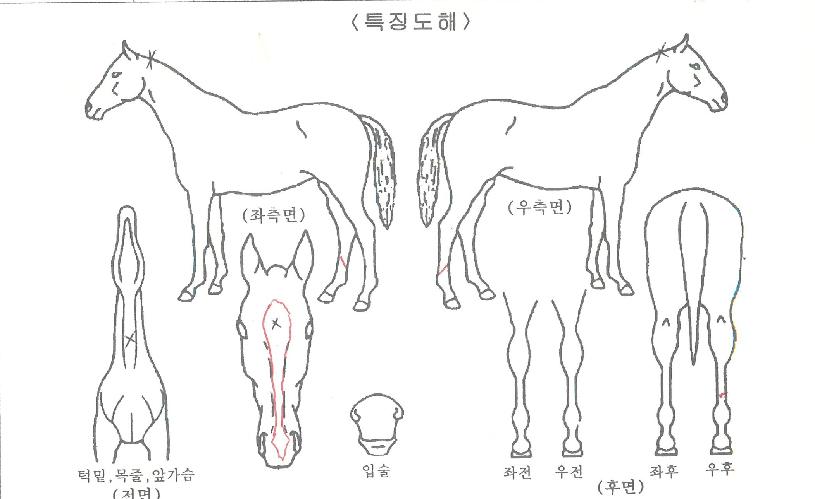 �Ķ���Ŀ��� ����,���,�޸�,�λ�,�ٸ��� Ư¡����