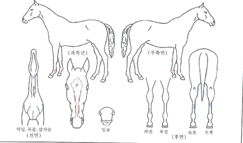 �Ķ��ĳ���� ����,���,�޸�,�λ�,�ٸ��� Ư¡����