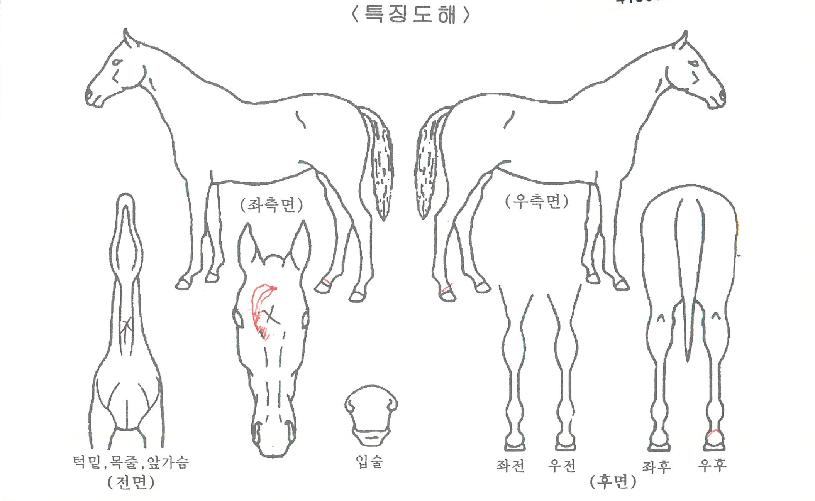 ������������ ����,���,�޸�,�λ�,�ٸ��� Ư¡����