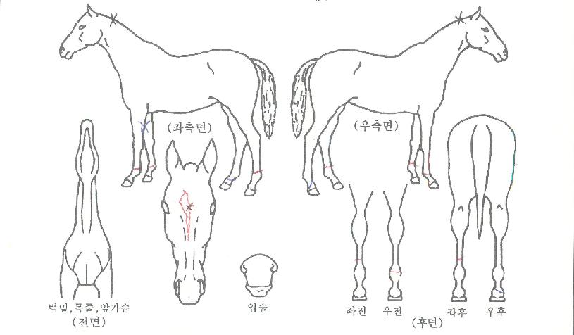 �̼Ұ����� ����,���,�޸�,�λ�,�ٸ��� Ư¡����