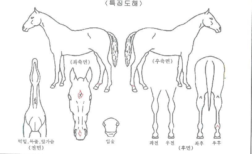 �ֽ������������ڸ��� ����,���,�޸�,�λ�,�ٸ��� Ư¡����