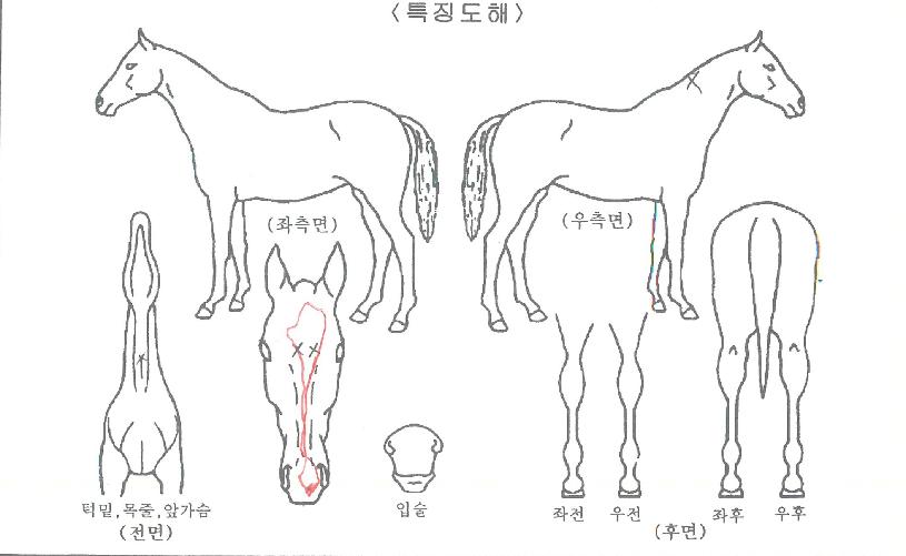 �׷������̽��ڸ��� ����,���,�޸�,�λ�,�ٸ��� Ư¡����