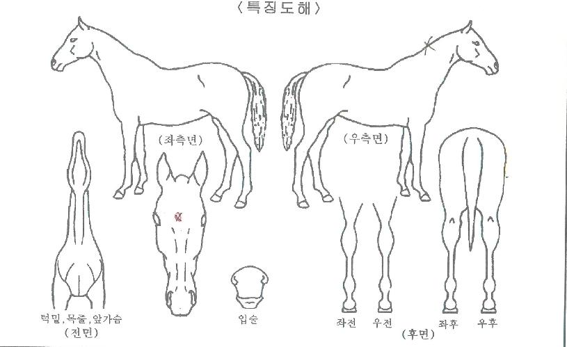 ���Ÿ������� ����,���,�޸�,�λ�,�ٸ��� Ư¡����