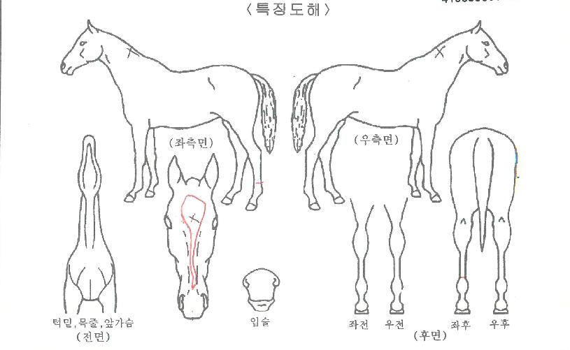 ����Ǯ�Ϲٳ��� ����,���,�޸�,�λ�,�ٸ��� Ư¡����