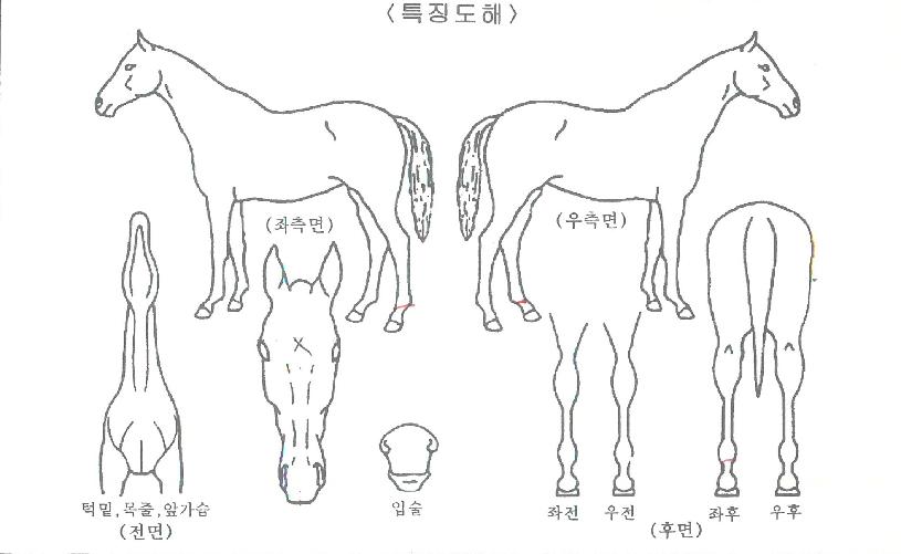 ���������� ����,���,�޸�,�λ�,�ٸ��� Ư¡����