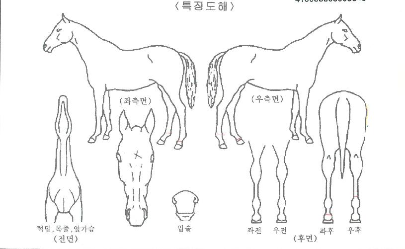 �̷�ť�����޴��ڸ��� ����,���,�޸�,�λ�,�ٸ��� Ư¡����