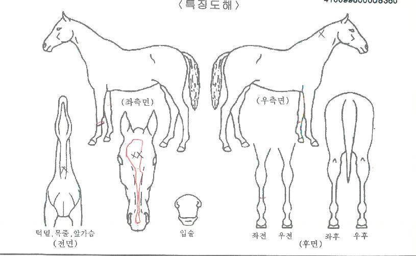 �ٽõμ��� ����,���,�޸�,�λ�,�ٸ��� Ư¡����