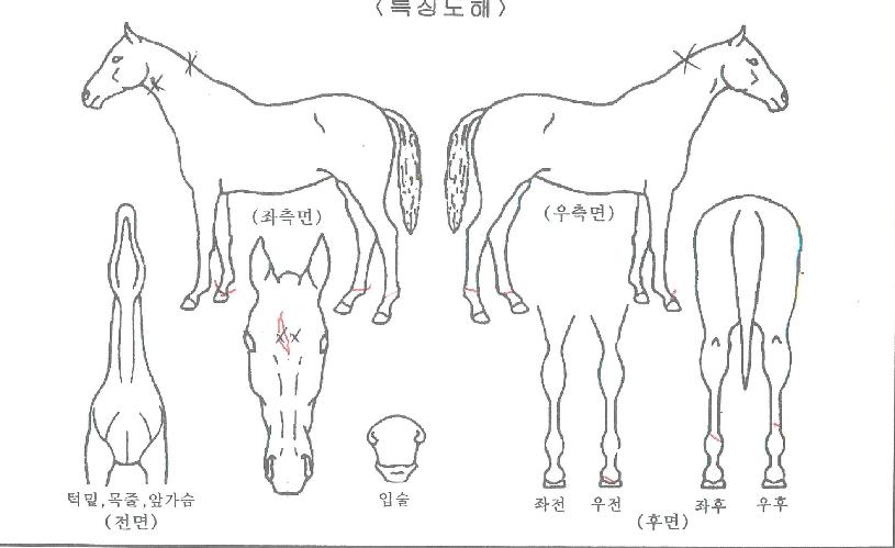 ��Ű������ ����,���,�޸�,�λ�,�ٸ��� Ư¡����