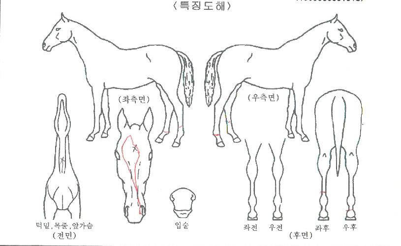 ���ǽ�ȭ�� ����,���,�޸�,�λ�,�ٸ��� Ư¡����