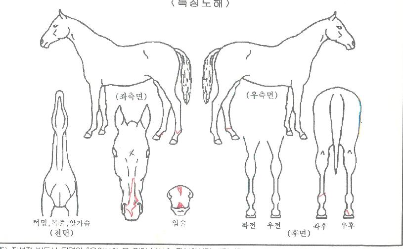 ���丮���ũ�� ����,���,�޸�,�λ�,�ٸ��� Ư¡����