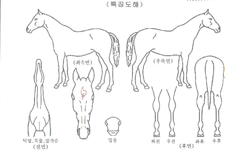 ����ç������ ����,���,�޸�,�λ�,�ٸ��� Ư¡����