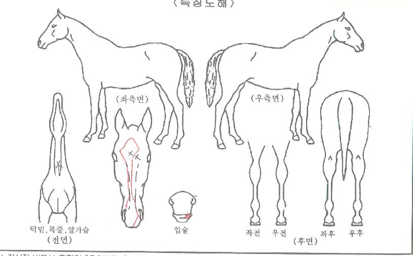 �ְ������� ����,���,�޸�,�λ�,�ٸ��� Ư¡����