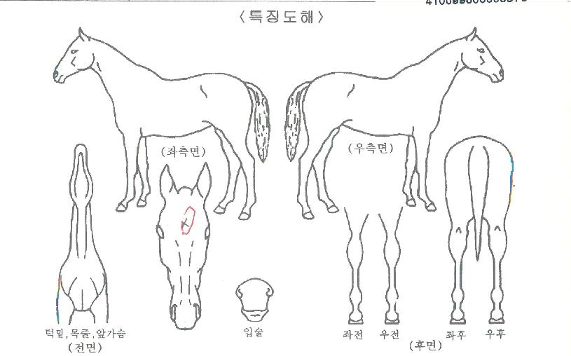 �Ⱦ�ȣ������ ����,���,�޸�,�λ�,�ٸ��� Ư¡����