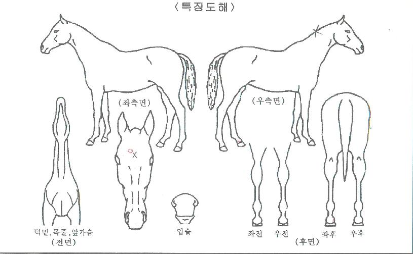 ���ָ����� ����,���,�޸�,�λ�,�ٸ��� Ư¡����