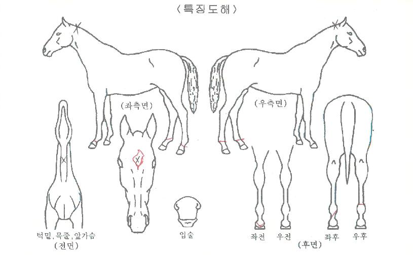 ���������� ����,���,�޸�,�λ�,�ٸ��� Ư¡����