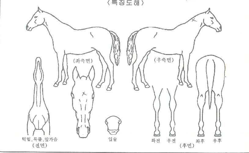 ���ڼ��� ����,���,�޸�,�λ�,�ٸ��� Ư¡����