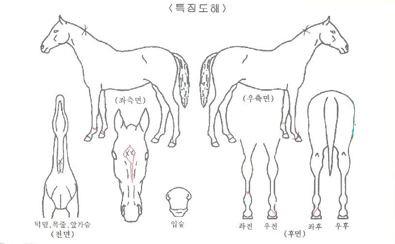 �������� ����,���,�޸�,�λ�,�ٸ��� Ư¡����