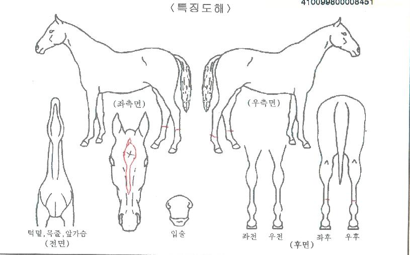 ������ ����,���,�޸�,�λ�,�ٸ��� Ư¡����