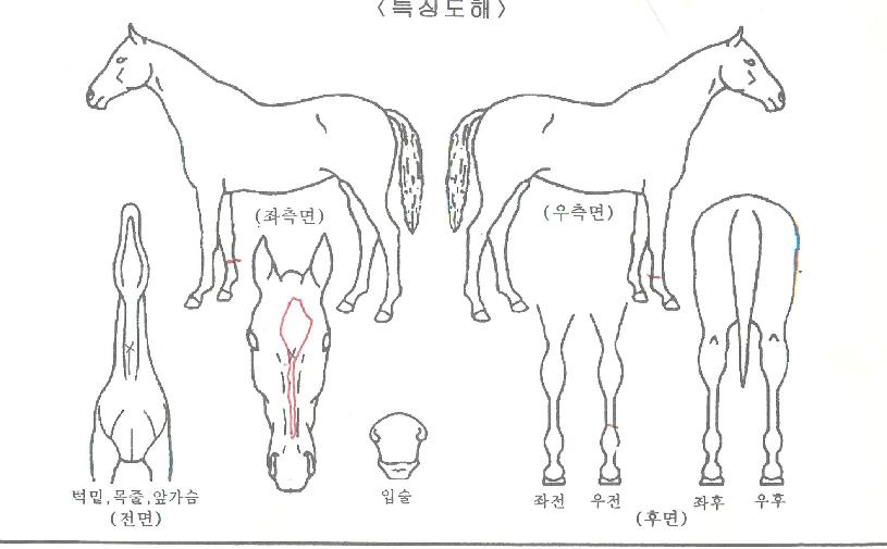 �����ν���Ʈ�� ����,���,�޸�,�λ�,�ٸ��� Ư¡����