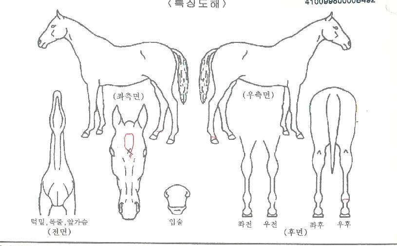 �ö��׹����� ����,���,�޸�,�λ�,�ٸ��� Ư¡����