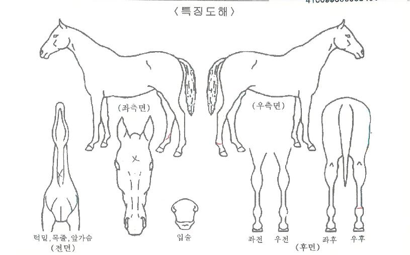 �̶�Ŭ������ ����,���,�޸�,�λ�,�ٸ��� Ư¡����