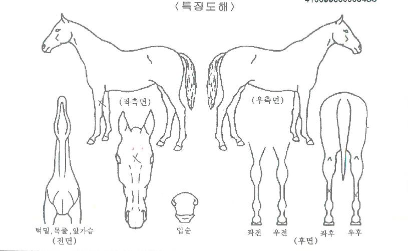 �ݼ������� ����,���,�޸�,�λ�,�ٸ��� Ư¡����