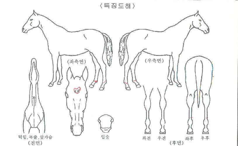 ��ȣ���� ����,���,�޸�,�λ�,�ٸ��� Ư¡����