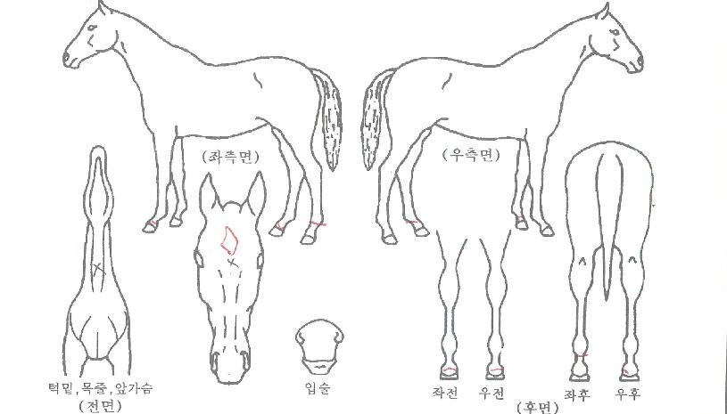 ���̽��Լ��� ����,���,�޸�,�λ�,�ٸ��� Ư¡����