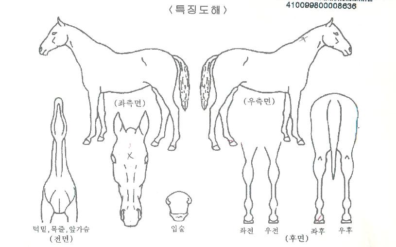 ���������� ����,���,�޸�,�λ�,�ٸ��� Ư¡����