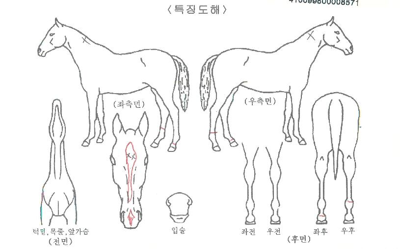 �����׷���Ʈ�� ����,���,�޸�,�λ�,�ٸ��� Ư¡����