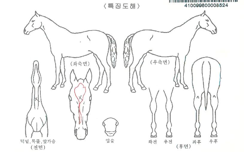 ���ϵ������ ����,���,�޸�,�λ�,�ٸ��� Ư¡����